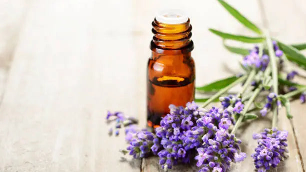 Best Easy Beginners Guide For High Quality Essential Oils - Best Himalaya