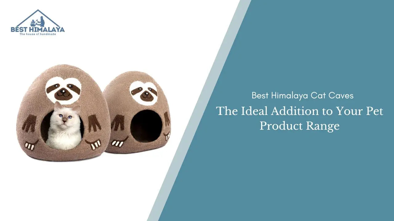 Best Himalaya Cat Caves: The Ideal Addition to Your Pet Product Range