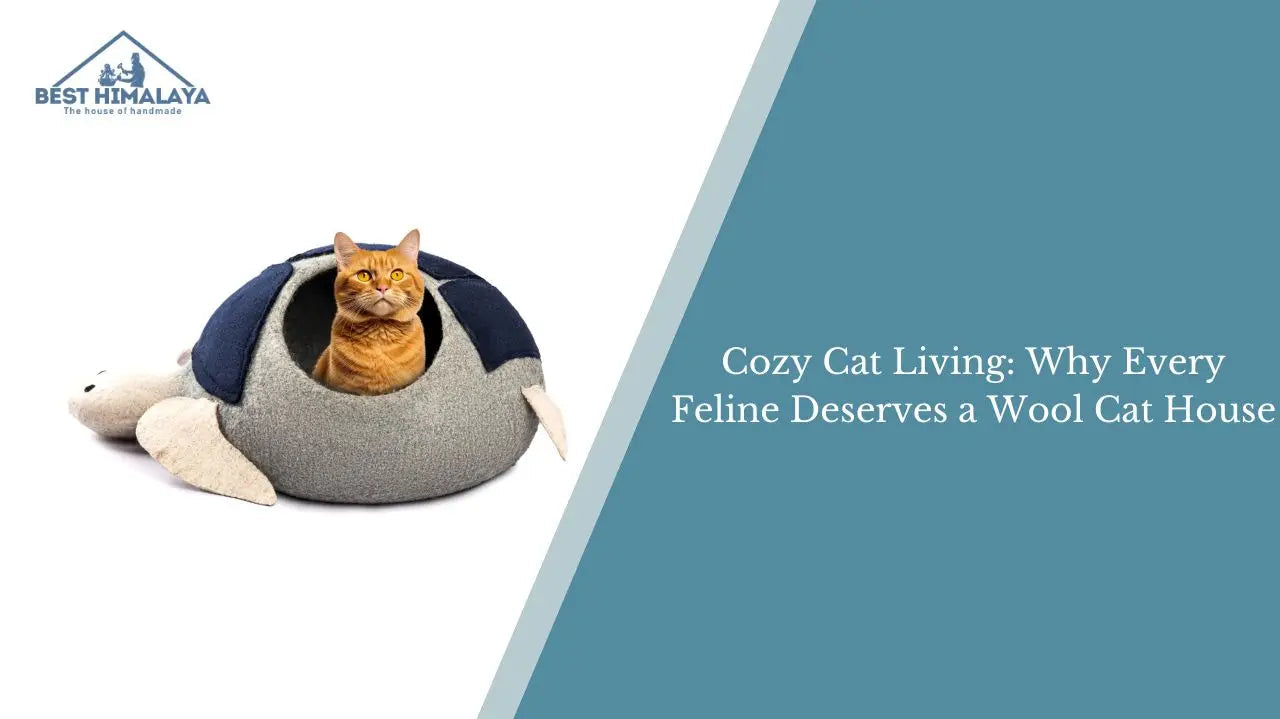 Cozy Cat Living: Why Every Feline Deserves a Wool Cat House