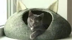 Crafting Your Own Cat Cave Felt Hideaway: Unleash Your Creativity - Best Himalaya