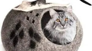 Creating-a-Cozy-Felt-Cat-Cave-for-Your-Beloved-Ragdoll-Companion Best Himalaya
