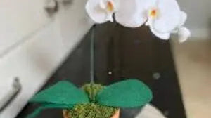 Elegance-in-Every-Petal-Wholesale-Bulk-Handmade-Wool-Felt-Orchids Best Himalaya