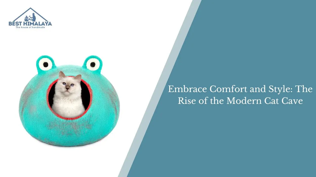 Embrace Comfort and Style: The Rise of the Modern Cat Cave