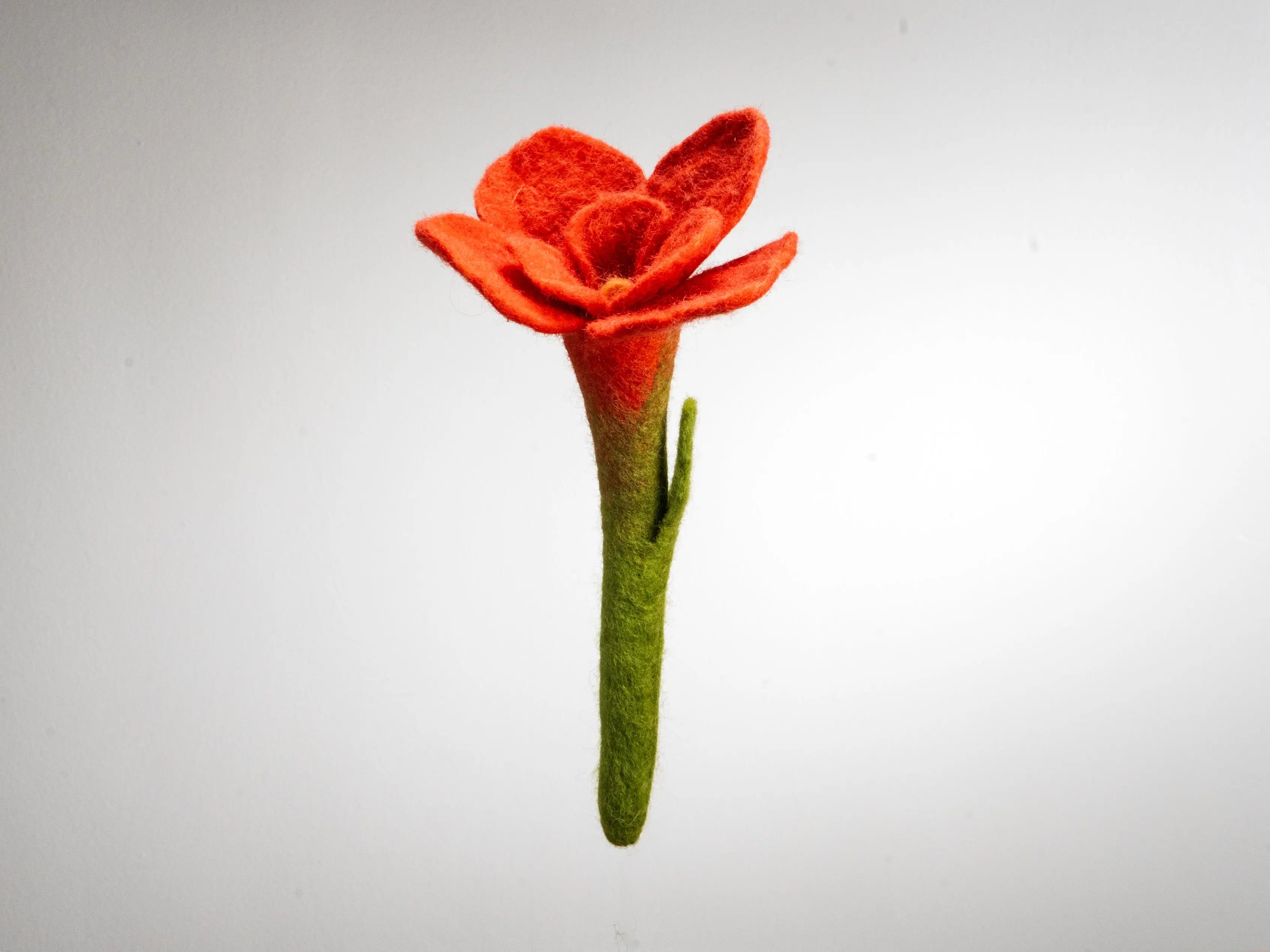 Exploring the Beauty and Diversity of Felt Flowers: A Guide to Wool and Synthetic Creations - Best Himalaya