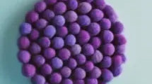 Felt Kitchen Trivets: A Stylish and Functional Addition to Your Kitchen - Best Himalaya