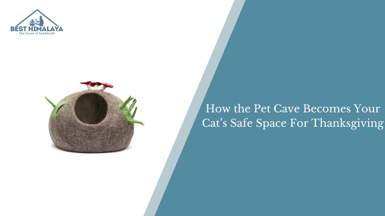 How the Pet Cave Becomes Your Cat’s Safe Space For Thanksgiving
