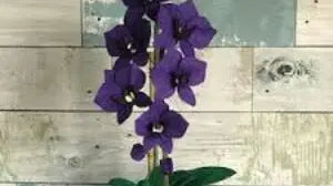 Mastering-Felt-Flower-Art-Craftsmanship-by-Best-Himalaya-Artisans Best Himalaya