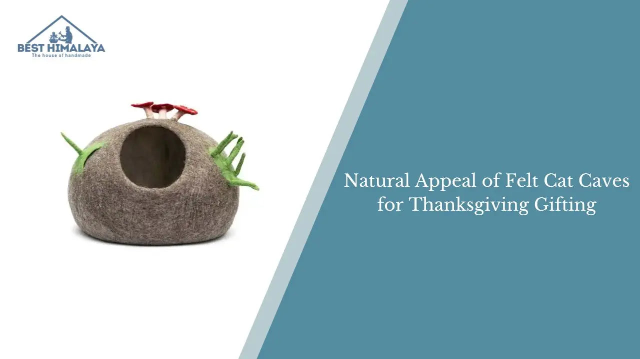 Natural Appeal of Felt Cat Caves for Thanksgiving Gifting