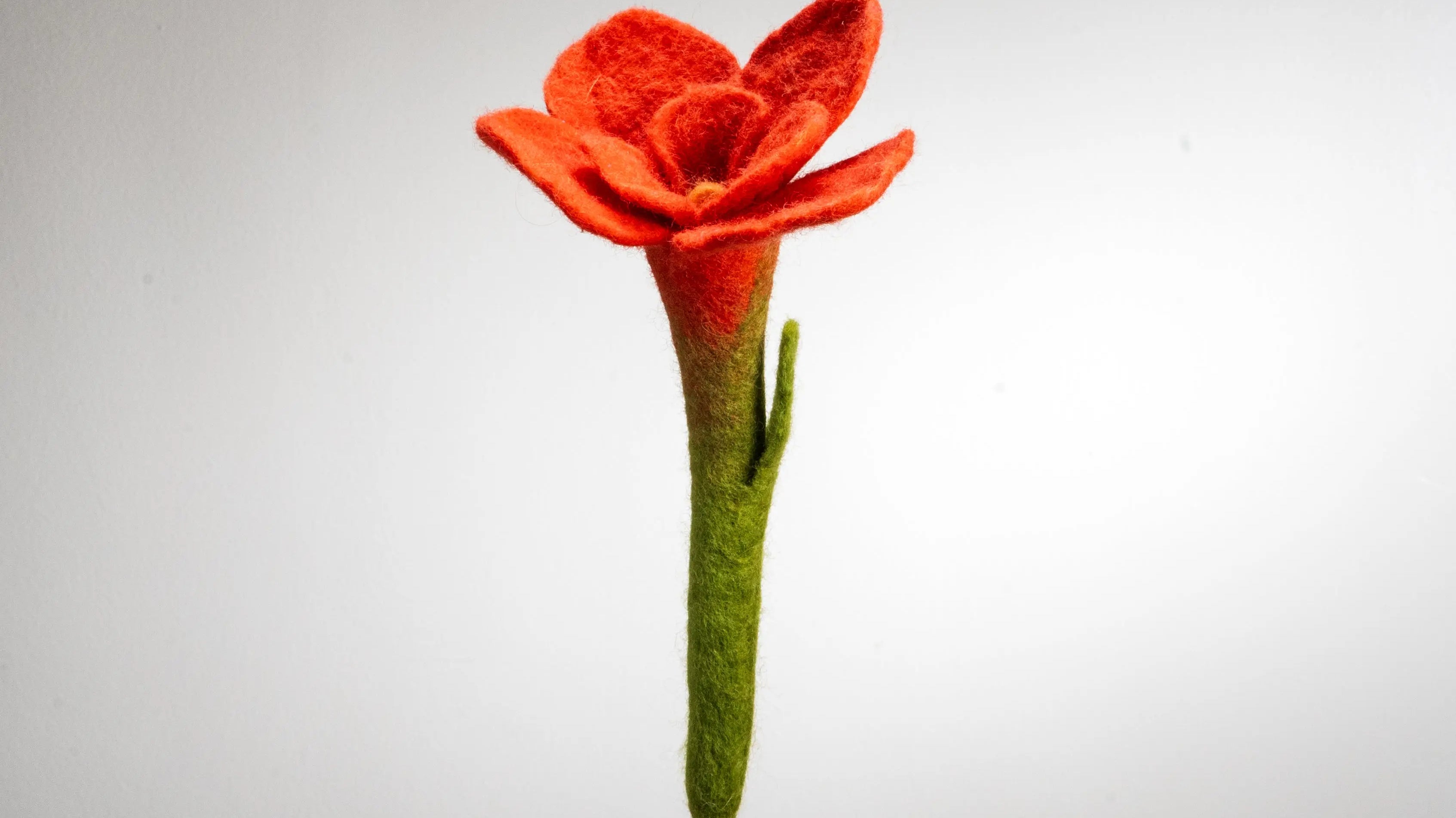 Raise Awareness About Scams Involving Felt Flowers in Nepal - Best Himalaya