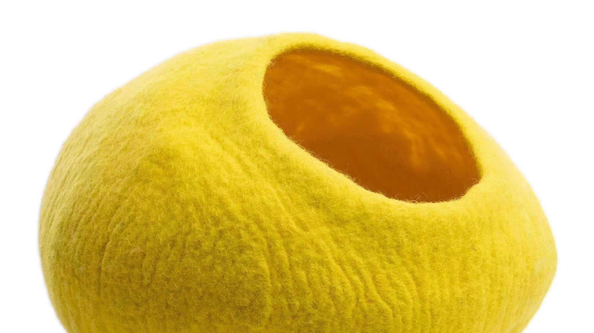 The Dangers of Felt Cat Caves for Small Cats and How to Choose a Safe One - Best Himalaya