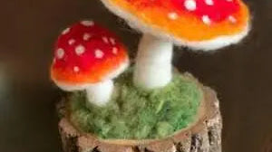Where to Get Quality Eco-Friendly Felt Mushrooms - Best Himalaya