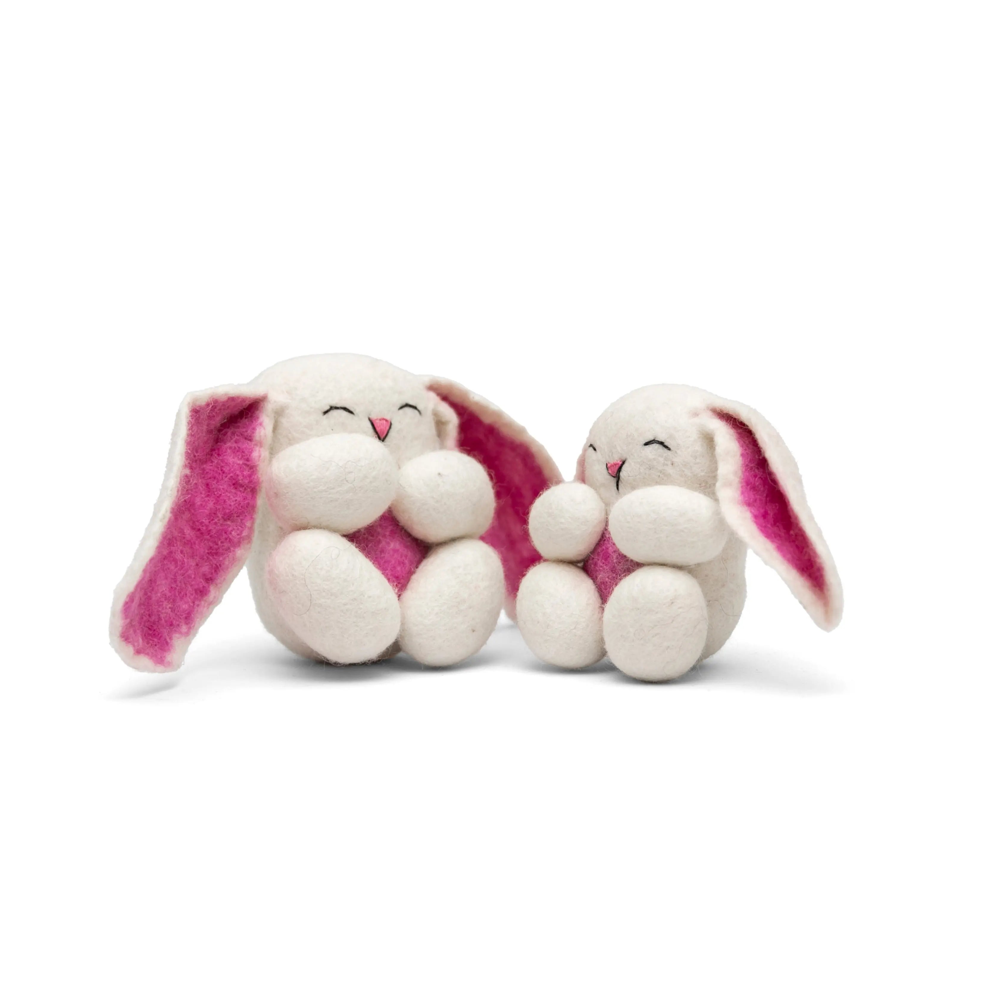 Explore Wonderland with White Rabbit - Best HimalayaBest Himalaya