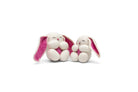 Explore Wonderland with White Rabbit - Best HimalayaBest Himalaya