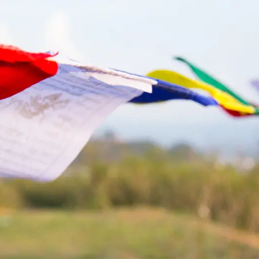 Large size Tibetan Buddhist Prayer Flag Set - Best HimalayaBest Himalaya
