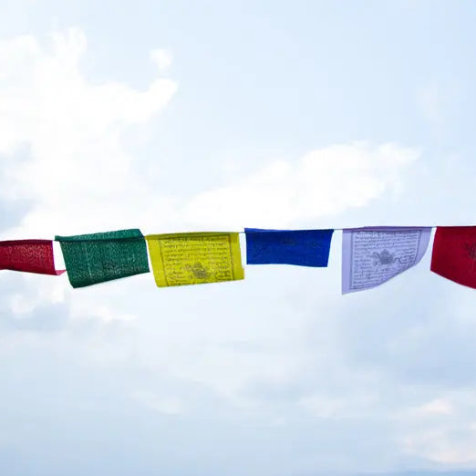 Single String Tibetan Mantra Prayer Flag set - Best HimalayaBest Himalaya