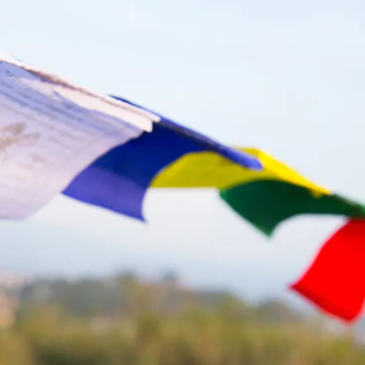 Tibetan Mantra Printed Buddhist Prayer Flag Set - Best HimalayaBest Himalaya