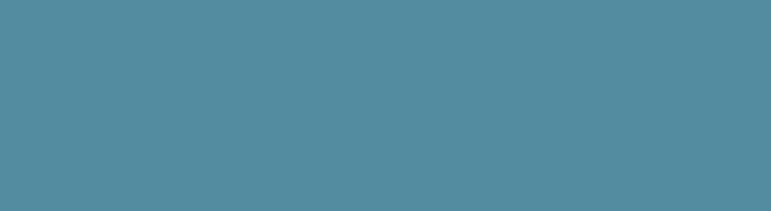 BS 18 D 43 paint