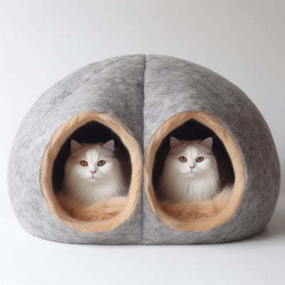 Top 10 Cat Caves for Twins Cats