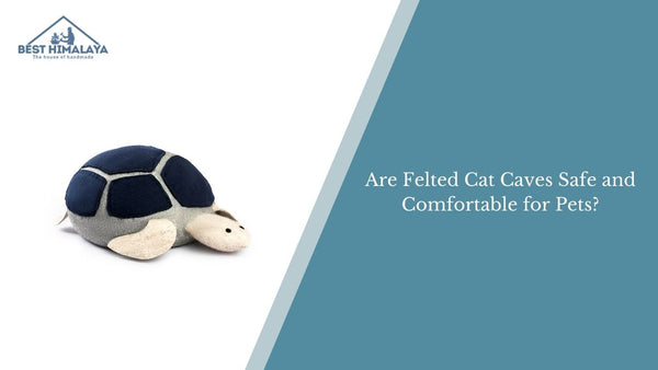 Are Felted Cat Caves Safe and Comfortable for Pets?