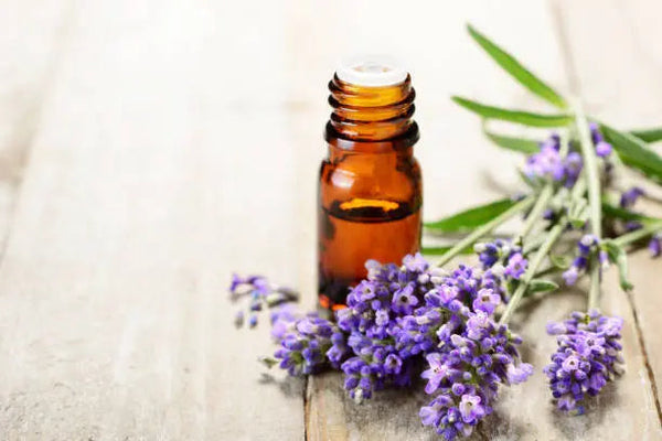 The Ultimate Beginner's Guide to High-Quality Plant Based Essential Oils