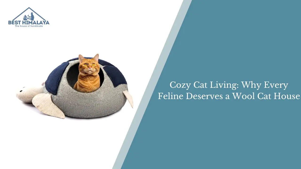 Cozy Cat Living: Why Every Feline Deserves a Wool Cat House