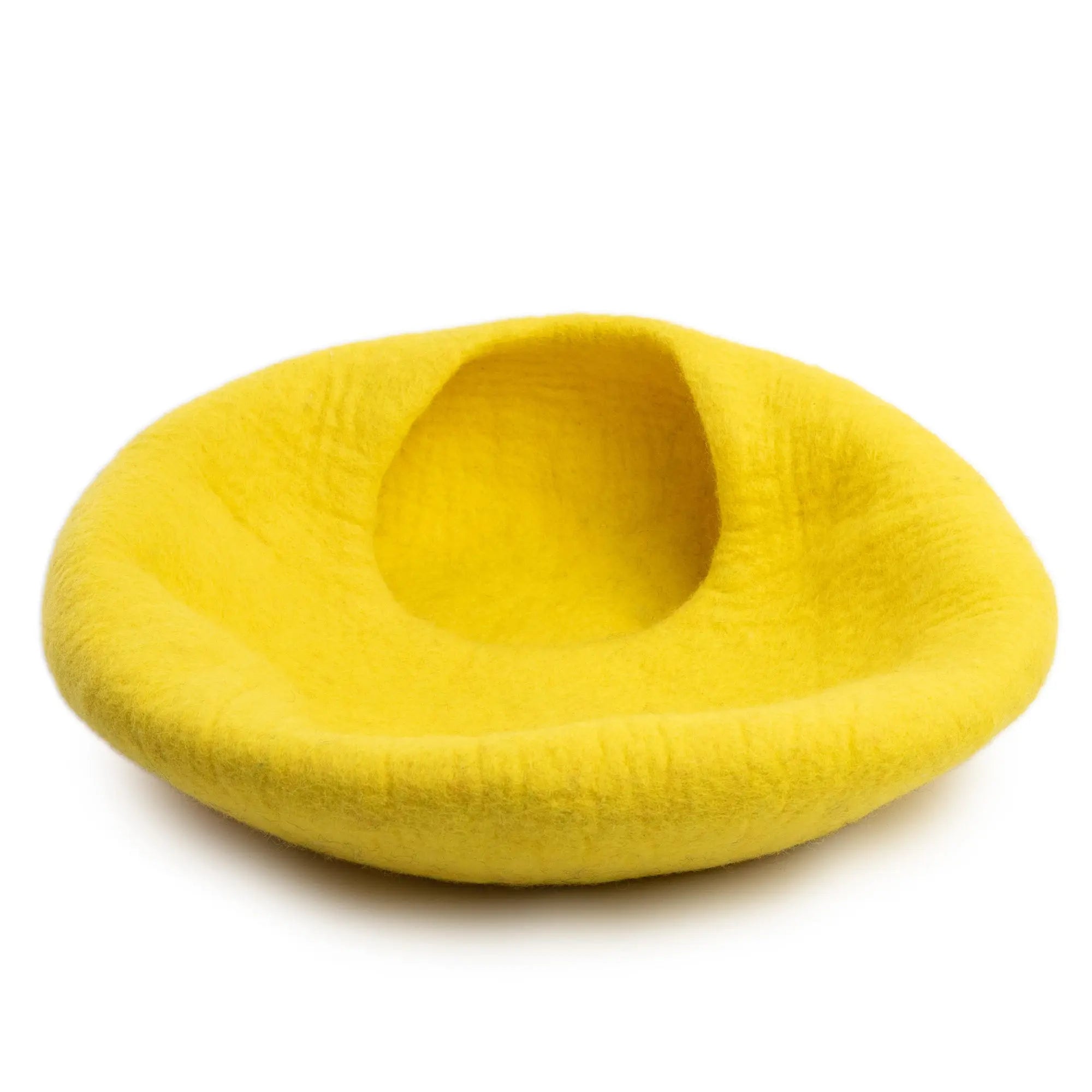 Easy Guide to Cleaning and Maintaining Your Cat Cave Felt Bed - Best Himalaya