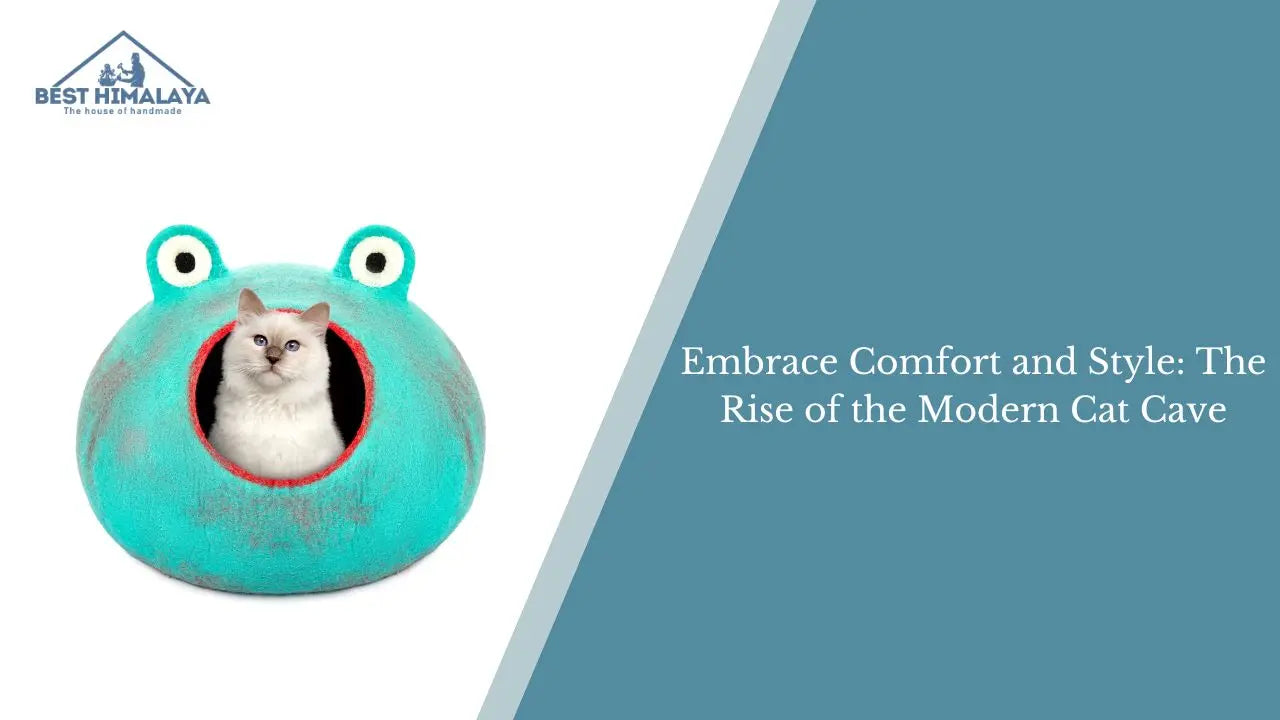 Embrace Comfort and Style: The Rise of the Modern Cat Cave