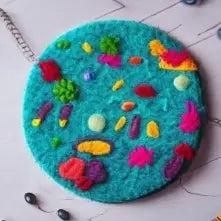 Felt Costar Uses & Popularity in Western Culture - Best Himalaya