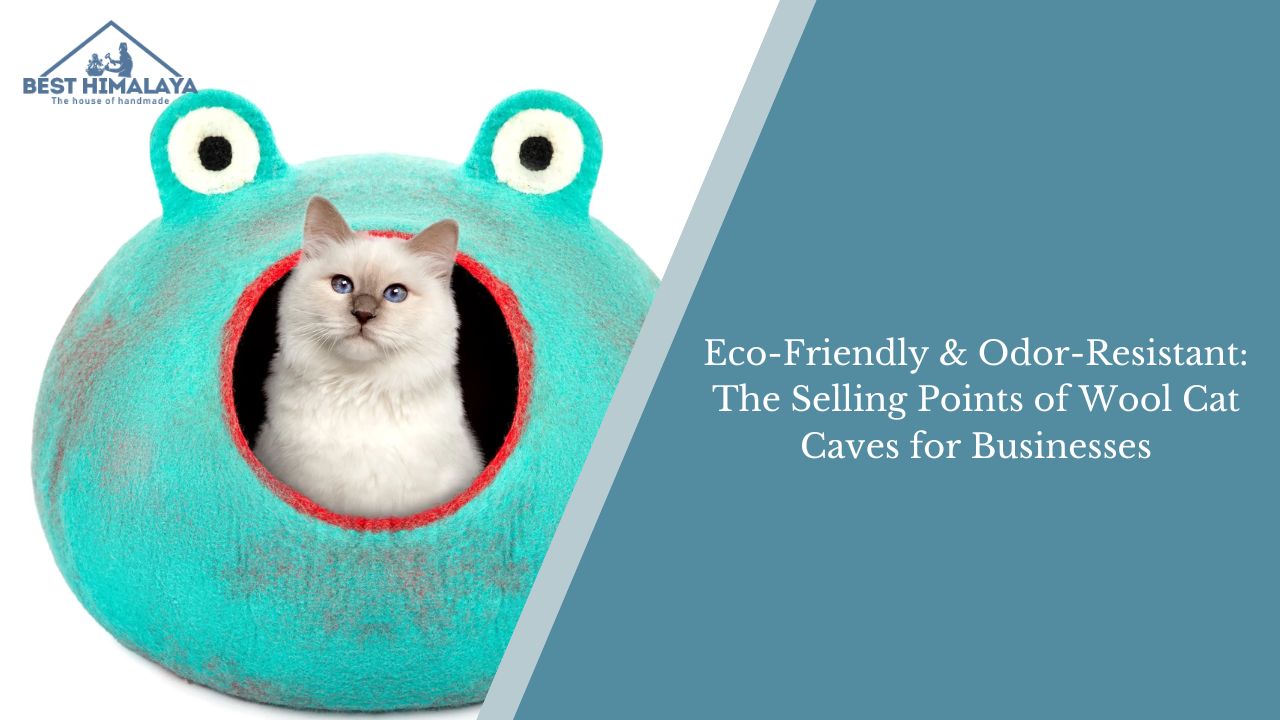 White cat inside a turquoise wool cat cave with text about eco-friendly, odor-resistant pet products.