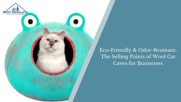 Eco-Friendly & Odor-Resistant: The Selling Points of Wool Cat Caves for Businesses