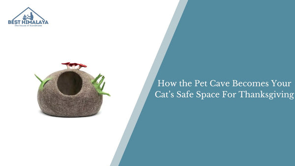How the Pet Cave Becomes Your Cat’s Safe Space For Thanksgiving