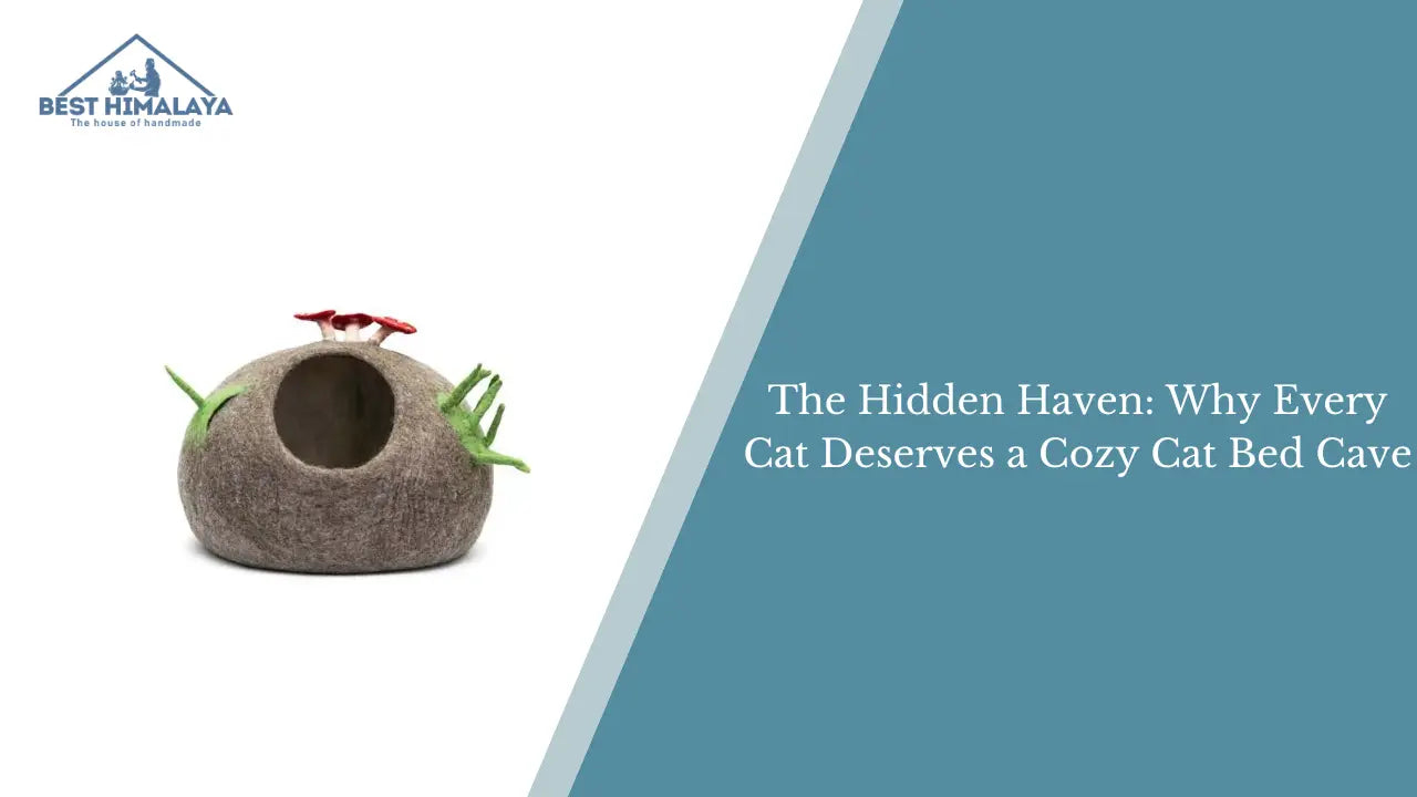The-Hidden-Haven-Why-Every-Cat-Deserves-a-Cozy-Cat-Bed-Cave Best Himalaya