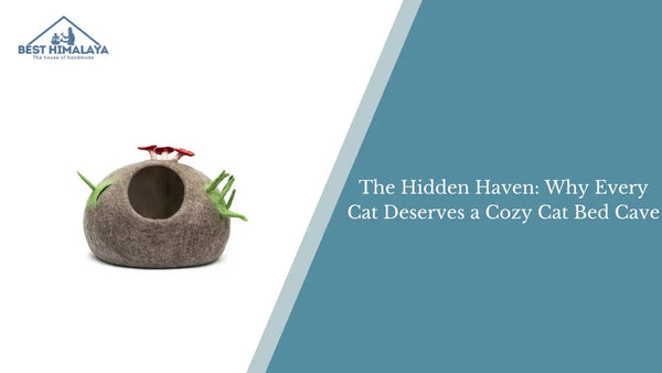 The Hidden Haven: Why Every Cat Deserves a Cozy Cat Bed Cave