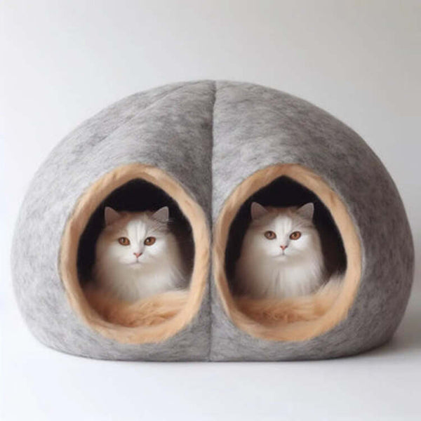 Cat Caves for Twin Cats