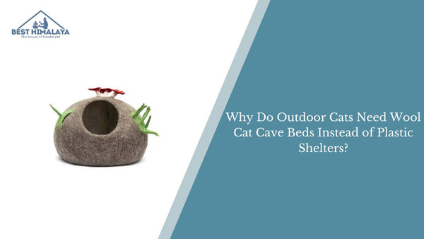Why Do Outdoor Cats Need Wool Cat Cave Beds Instead of Plastic Shelters?
