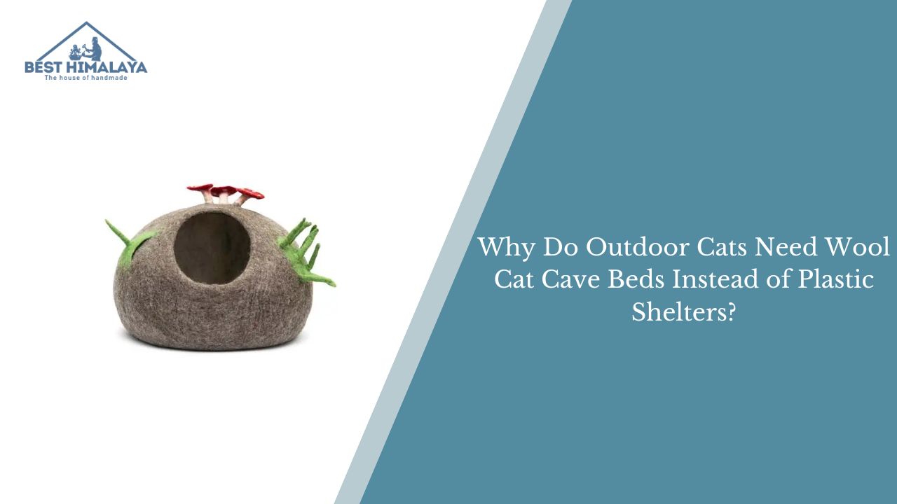 Outdoor Cats Need Wool Cat Cave Beds