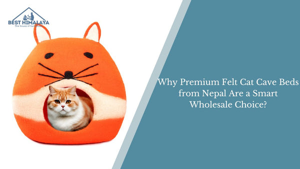 Why Premium Felt Cat Cave Beds from Nepal Are a Smart Wholesale Choice?