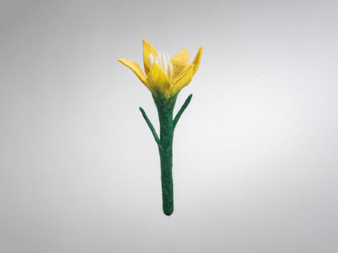 Enchanting Blooms: Handcrafted Felt Flower Add Nature's Grace to Your Space