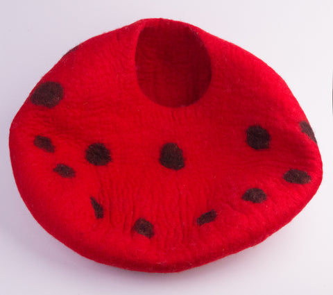 Experience Blissful Comfort with Our Felt Cat Cave | Shop Now!